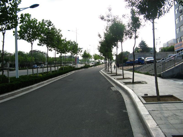 臨沭青路沿石